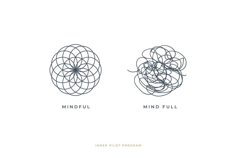 This is a graphical representation of the Inner Pilot program, created as part of the DOWP project, which shows the messy workings of reason and the completeness of the tamed directed reason. Illustrating how conscious self-improvement brings peace to the mind.