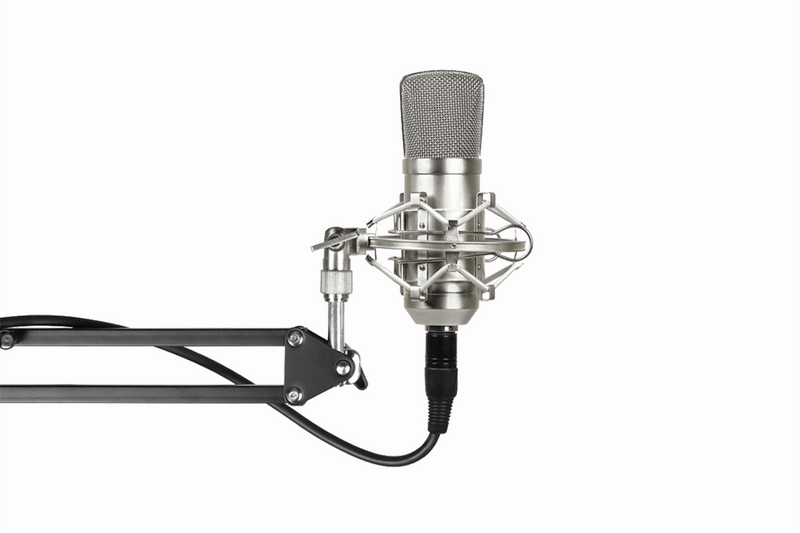 You can see a professional studio microphone used for audio recordings of self-improvement presentations.
